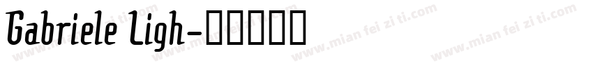 Gabriele Ligh字体转换